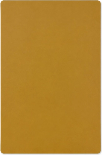 Plastikinis stalo padėkliukas Verde garstyčių spalvos 58 × 38 cm