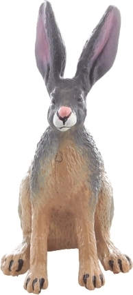 Idealaus dydžio kolekcijai ir kelionei