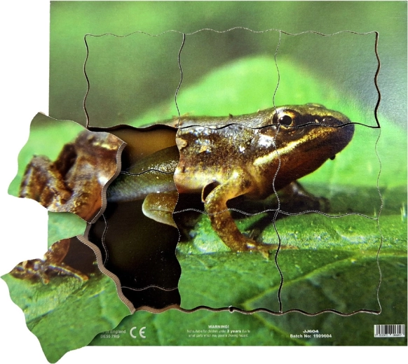 Just Jigsaws Varliagyvės gyvenimo ciklas – medinė sluoksniuota dėlionė