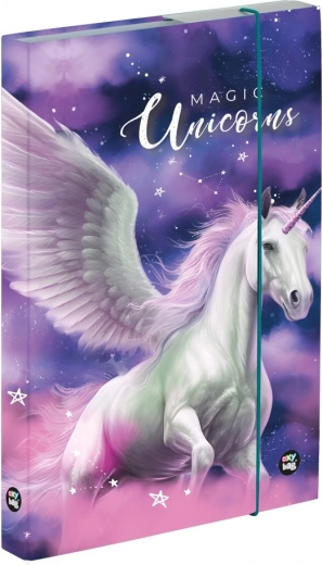 A4 sąsiuvinių dėklas „Pegasas“