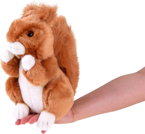 Idealaus dydžio į ranką: 22 cm