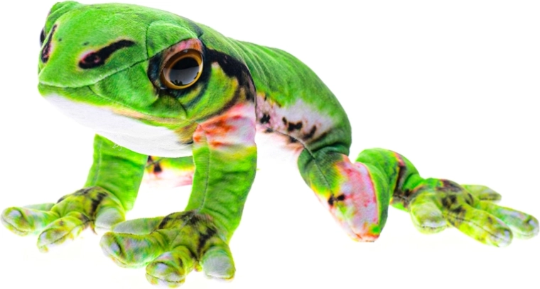 Japanese Tree Frog Plush 23 cm