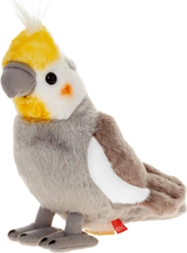 Pliušinis papūgėlė nimfa 20 cm