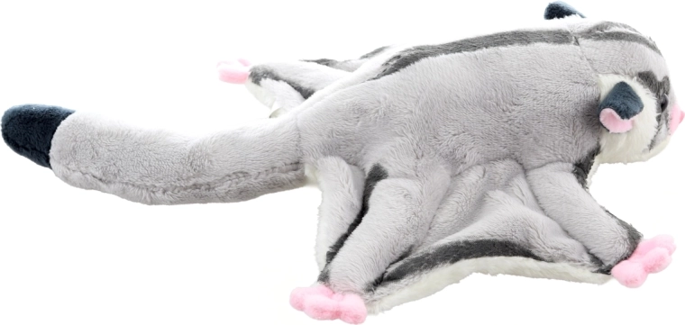 Typical flying squirrel appearance