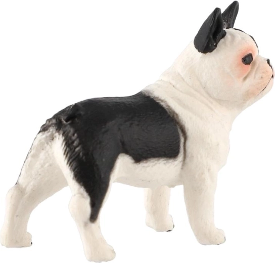 Compact size 5 cm