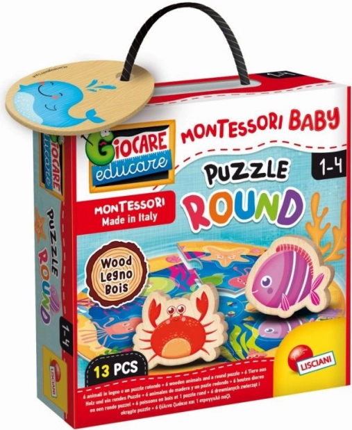 Montessori Wooden Circle Puzzle