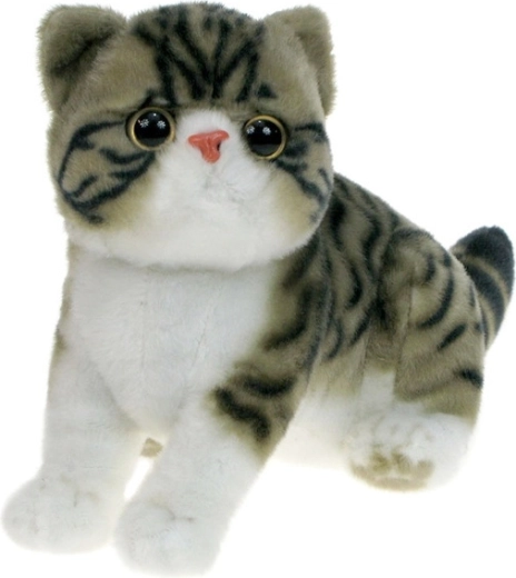 Plush Exotic Cat, Gray and White, 26 cm