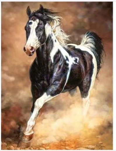 Norimpex Paint by Numbers – Galloping Horse in the Sand 40 × 50 cm