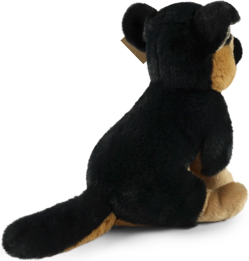 Idealus kompanionas kelionėms ir lovytei