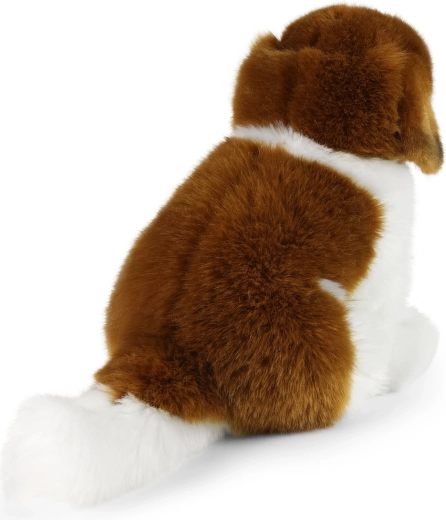 Soft plush for cuddling and play