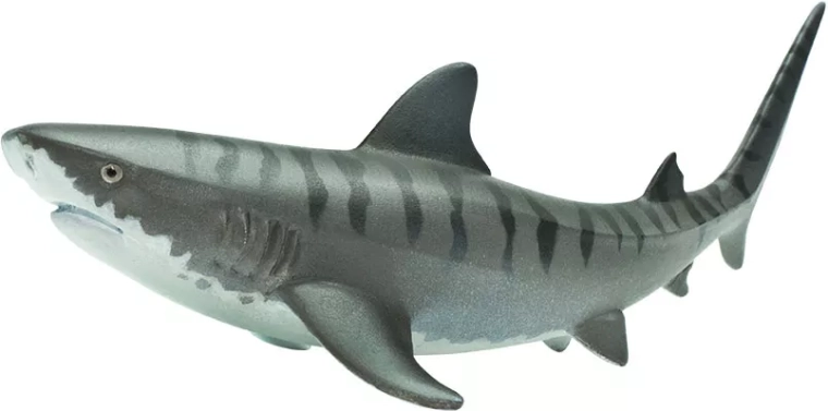 Safari Ltd. tigrinio ryklio figūrėlė – 1 vnt.
