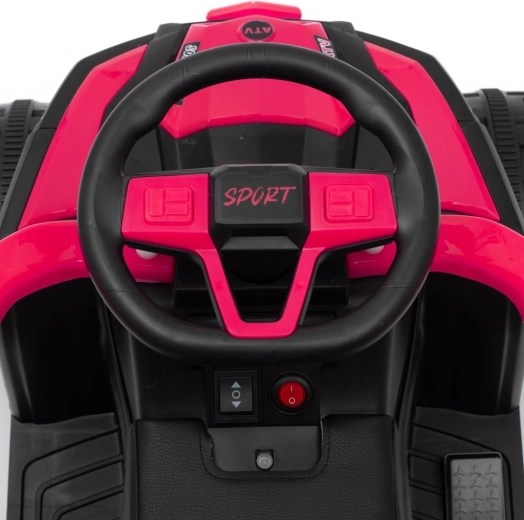 Realistic controls and dashboard