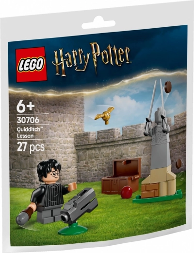 LEGO kaladėlės Harry Potter Kvidičo pamoka