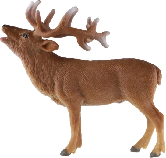 Majestic branching antlers