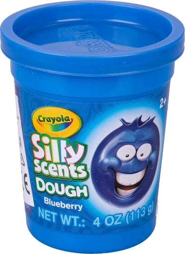 Practical container with lid