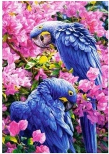 Norimpex Paint by Numbers Parrots on a Cherry Tree 40 × 50 cm