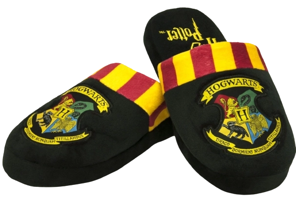 Vyriškos šlepetės Harry Potter Hogvartsas – Hogvartas