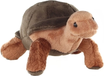 Plush Turtle