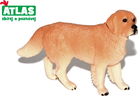Auksaspalvio retriverio figūrėlė 10 cm