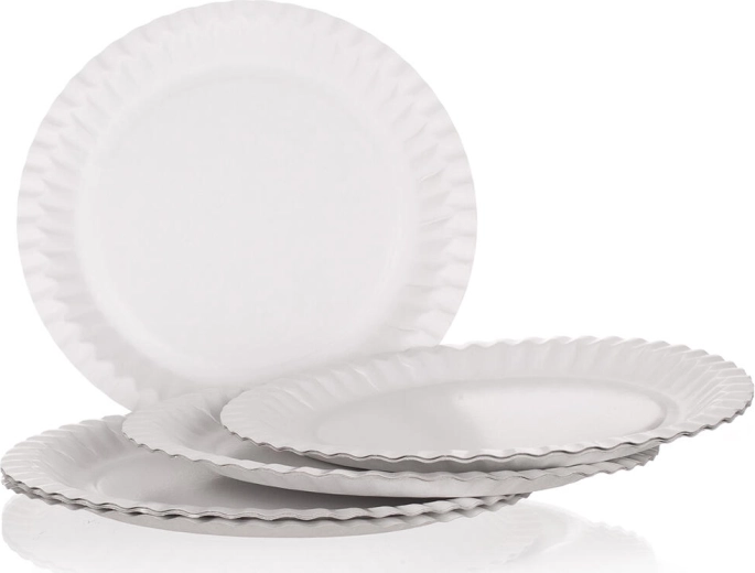 Popierinės lėkštės MY PARTY 23 cm (12 vnt.)