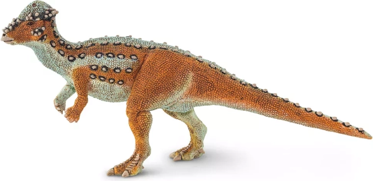 Pachycephalosaurus Safari Ltd. figūrėlė – 1 vnt.