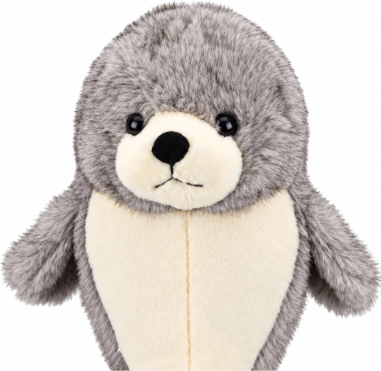 Cute seal design