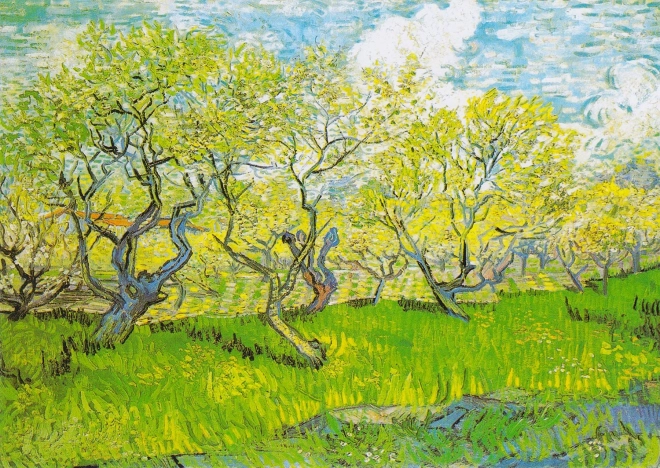 Dėlionė Vincent van Gogh: Žydintis sodas 1000 dalių