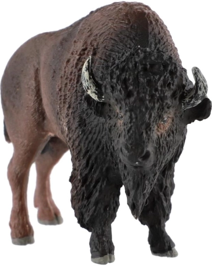 North American animal