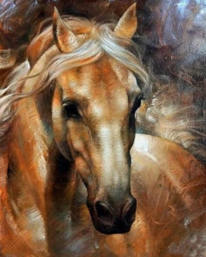 Norimpex Paint by Numbers Horse Portrait 40 × 50 cm
