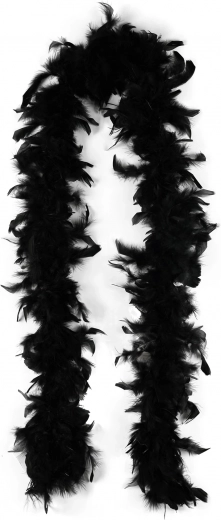 Black boa with feathers 2 meters