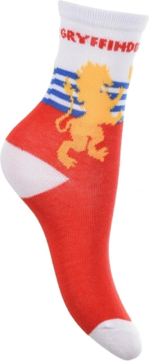 Gryffindor motyvas su ryškiu užrašu ir herbu