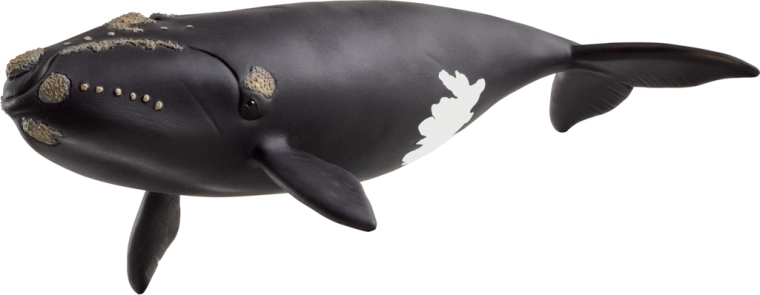 Schleich gyvūnėlis – šiaurinis Atlanto banginis