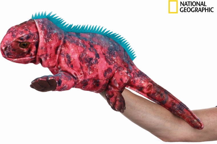 National Geographic pliušinė iguanos pirštininė lėlė, 23 cm