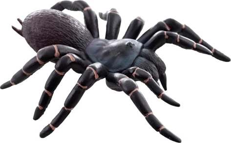 Plastikinė tarantula – realistiškas žaislas vaikams