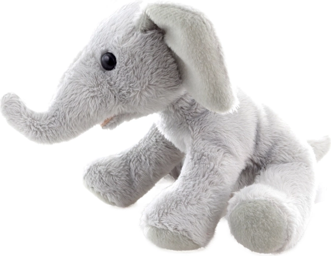 Kompaktiškas 15 cm dydis