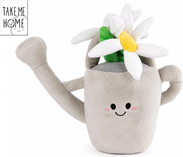 Pliušinis kambarinis augalas „Take Me Home“ pilkame arbatinuke, 20 cm