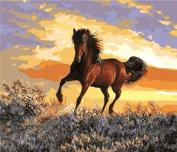 Norimpex Paint by Numbers Horse at Sunset 40 × 50 cm
