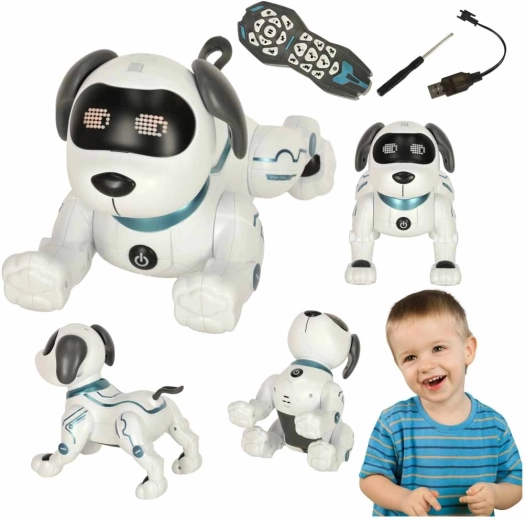 Remote control and voice commands