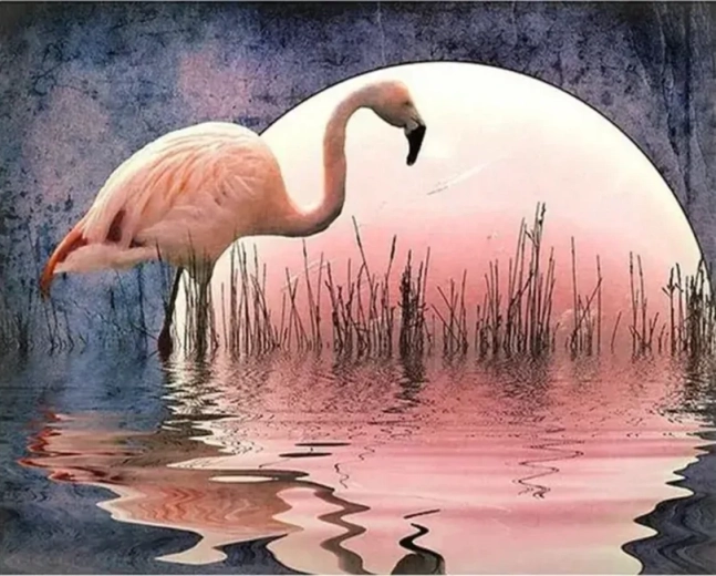 Norimpex Paint by Numbers Flamingo 40 × 50 cm