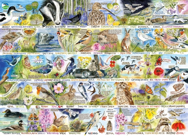 Dėlionė GIBSONS RSPB Pavasario gamtos žavesys, 1000 detalių