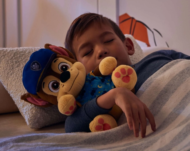 Minkštutis palydovas užmiegant