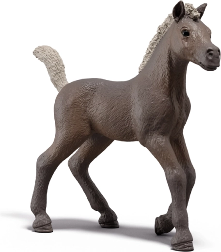 Kolekcinis kumeliukas Darcy SCHLEICH Horse Club – riboto leidimo