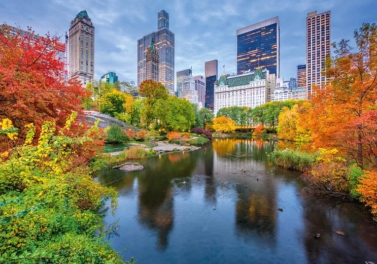 Dėlionė „Central Park“ (500 detalių)