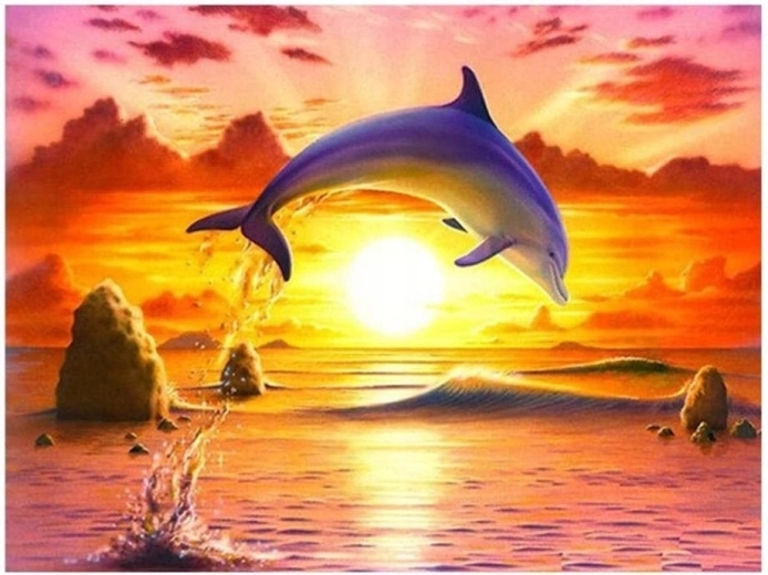 Norimpex Paint by Numbers Jumping Dolphin at Sunset 40 × 50 cm