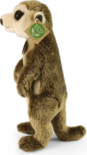 Eko užpildas iš perdirbtų PET butelių