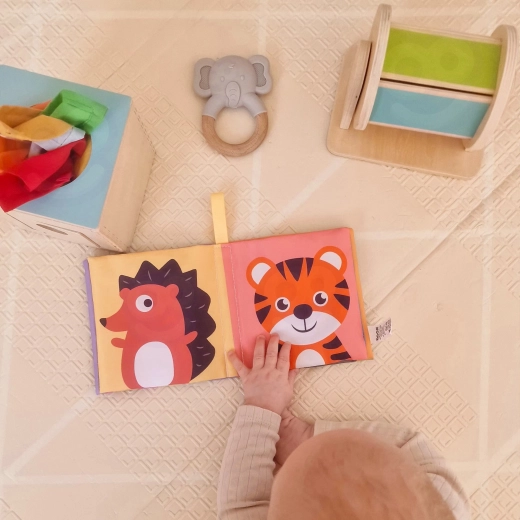 Sensory Discovery Every Day