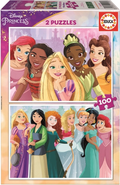 Educa dėlionė Disney princesės 2×100 detalių