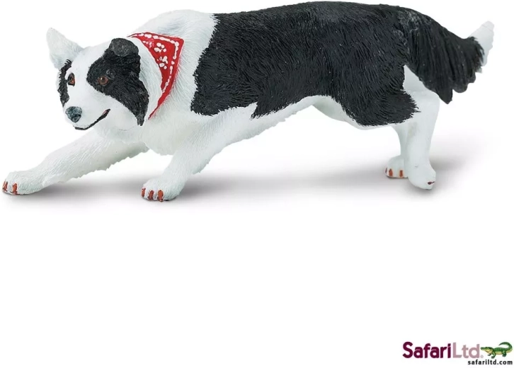 Safari Ltd. border kolio figūrėlė