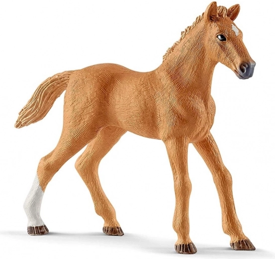 Realistiški Appaloosa arkliai