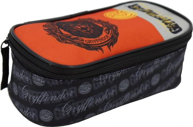 Harry Potter Themed Case